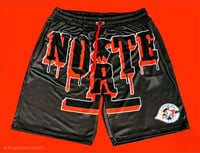 Norte Shorts