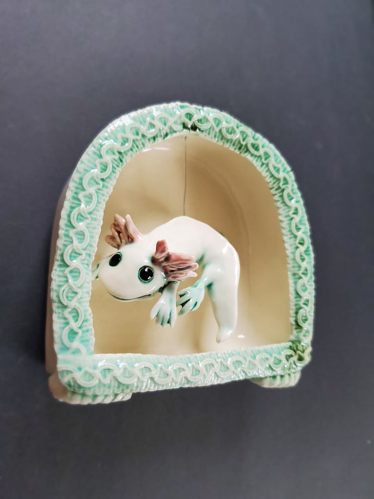 Shadowbox (axolotyl) Image 2
