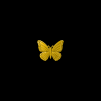 Image 1 of 18k Gold Classic Dream Butterfly Tooth Charm