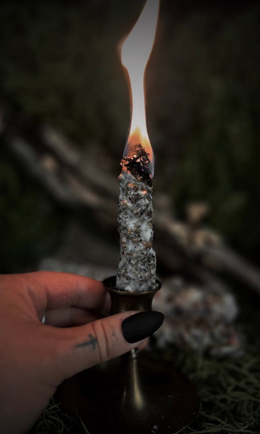 Image of MULLEIN TORCH