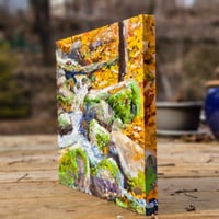 Image 2 of - Hillside Stream -