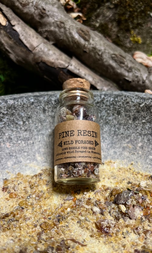 Image of WILD FORAGED PINE RESIN INCENSE