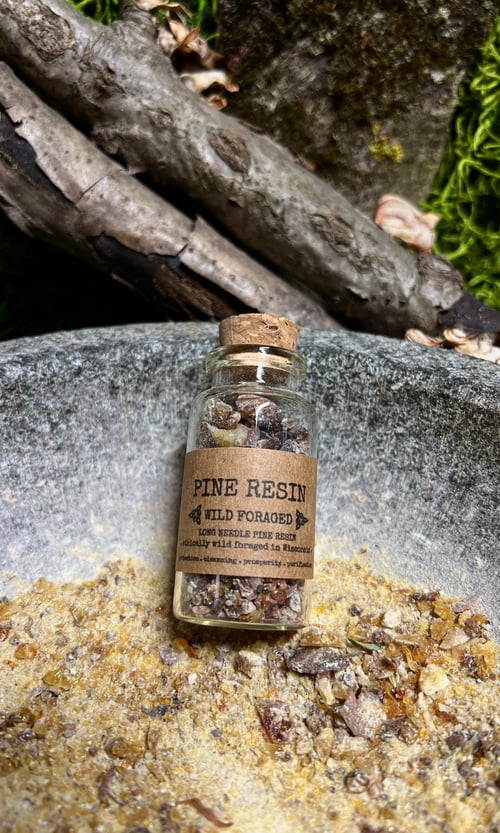 Image of WILD FORAGED PINE RESIN INCENSE