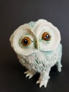 Feathered Owl #1