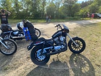 Image 3 of Bolt on sportster sissy bar