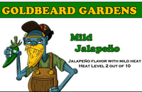 Image 1 of Mild Jalapeño Salsa