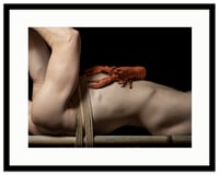 Image 1 of Tied by Tide