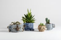 Image 2 of Lucy Baxendale: Monster Planter workshop