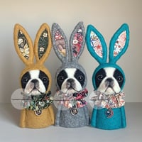 Image 5 of Boston Terrier Bunny Ornament - Mustard A
