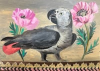 Image 1 of Parrot & Poppies