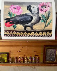Image 2 of Parrot & Poppies