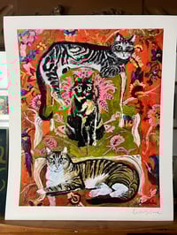 Image 3 of Three Cats
