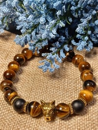 Image 3 of Tiger Eye 