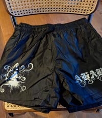 Image 2 of Swimshort Coral Tombs