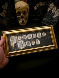 Image 1 of 1800's Biblical Ransom Note Collection - Memento Mori 