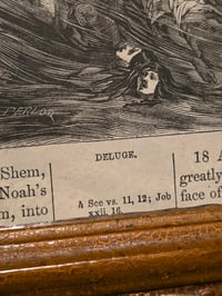 Image 7 of " Deluge" 1800's bible page with preserved spider web - vintage frame
