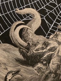 Image 2 of " Deluge" 1800's bible page with preserved spider web - vintage frame