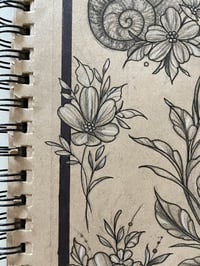 Image 1 of one blossom