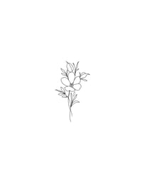 Image 2 of one blossom