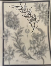 Image 1 of vine 2