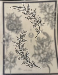 Image 1 of two vines