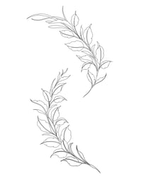 Image 2 of two vines