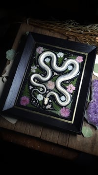 Image 4 of Snake Skeleton Pink Floral Wall Frame