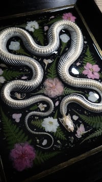 Image 3 of Snake Skeleton Pink Floral Wall Frame