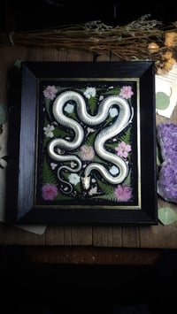 Image 2 of Snake Skeleton Pink Floral Wall Frame