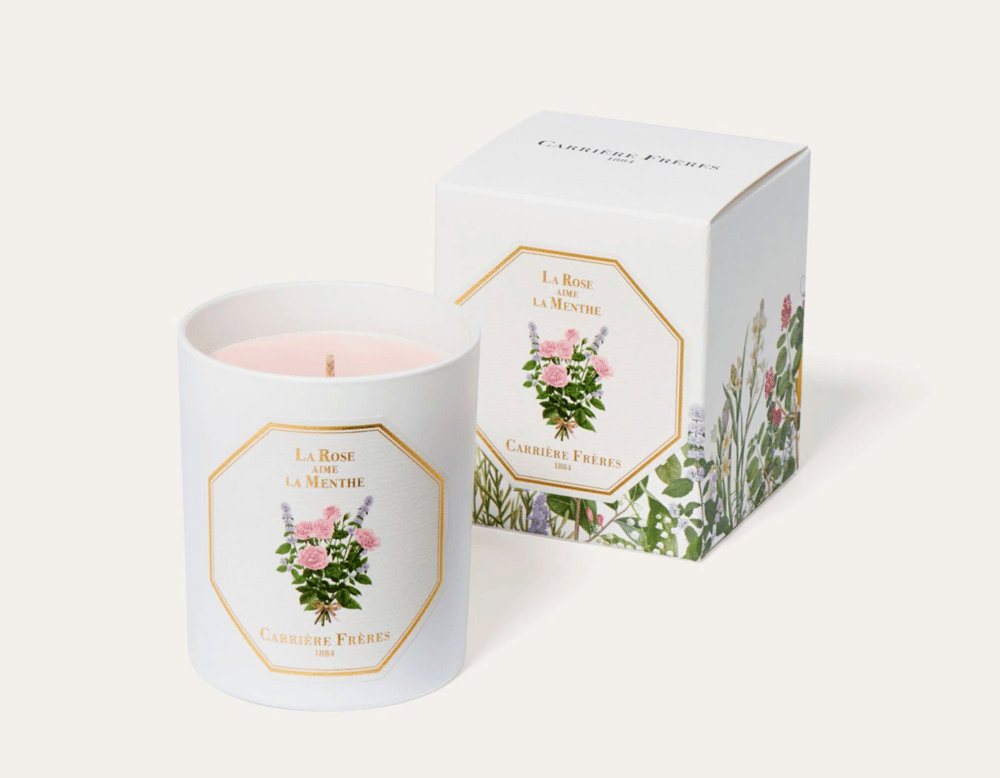 Image of Rose Aime La Menthe