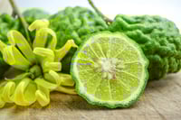 Fresh Faces Beauty Spa Butter in Bergamot & Cypress