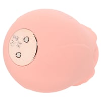 Image 6 of Skins Rose Buddies The Rose Purrz Vibe
