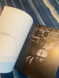 Image 4 of Vamp, Kuniyoshi Kaneko, 1994