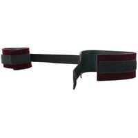 Image 6 of Sex & Mischief Enchanted Spreader Bar