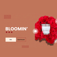 Image 1 of BLOOMIN’
