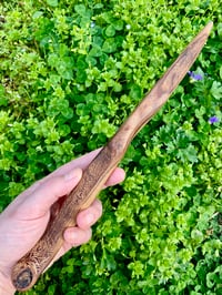 Elm Dagger Wand with Mycelium Print