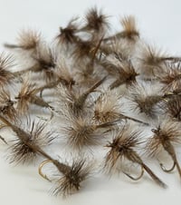 Image 2 of March Brown (Eastern)