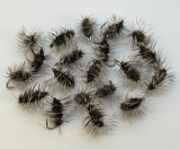 Image 1 of Griffith’s Gnat