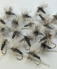 Image 2 of Gray Drake