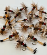 Image 2 of Royal Coachman