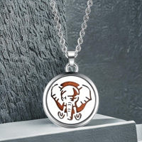 Image 1 of Elephant Essential Oil Diffuser Necklace for Focus & Energy