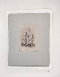 Image 1 of Spring Blossoms, 1 to 20