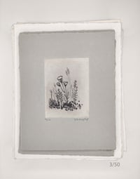 Image 3 of Spring Blossoms, 1 to 20