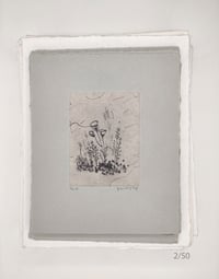 Image 2 of Spring Blossoms, 1 to 20