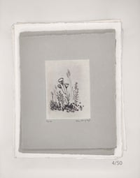 Image 4 of Spring Blossoms, 1 to 20