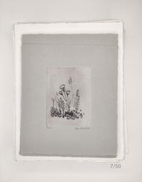 Image 7 of Spring Blossoms, 1 to 20