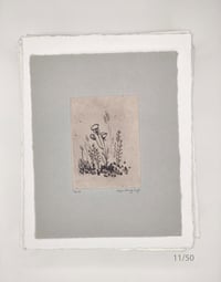 Image 10 of Spring Blossoms, 1 to 20