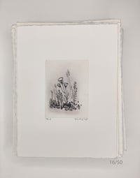 Image 15 of Spring Blossoms, 1 to 20
