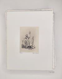Image 14 of Spring Blossoms, 1 to 20