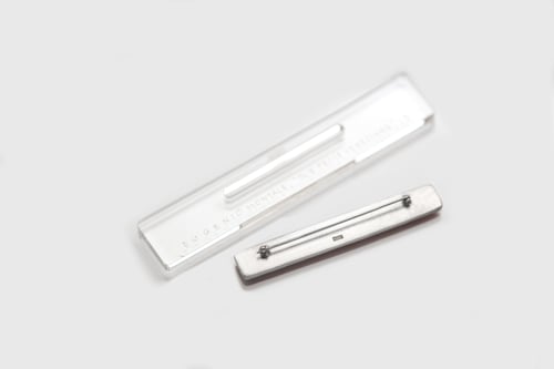 Image of "MA ORA LÌ TRA PICCIONI" silver brooch with acrylic glass